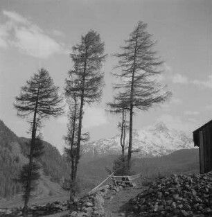 Sölden