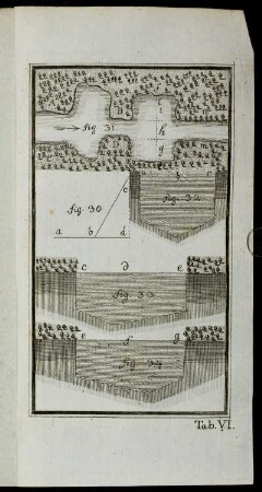Tab. VI. fig. 30 - fig. 34