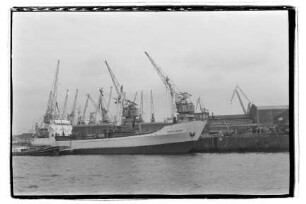 Frieda Graebe (1966), Graebe, Hamburg