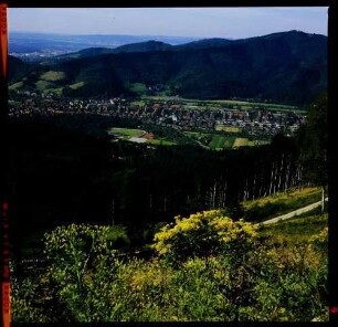 [Freiburg: Blick vom Valentinswald ins Dreisamtal auf Waldsee mit Mösle-Stadion]