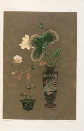 Plate II.