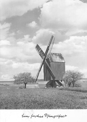 Danstedt. Mühle Ostermann oder Mühle Kampe, Ansichtskarte