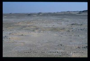 Djara 90/1