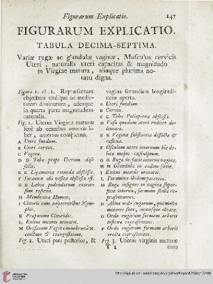 Figurarum explicatio: Tabula decima-septima