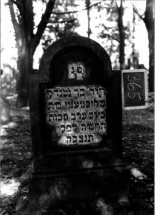 Grabstein 365 (Index: 100111891) Material: Sandstein Zustand: gut Maße HxBxT: 115x56x19 cm Beschreibung: Stele, profilierter Sockel, eingezogener Rundbogenabschluß, Schriftfeld eingetieft: Grabstein 365