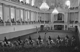 Wien: Spanische Reitschule, Training in der Reithalle