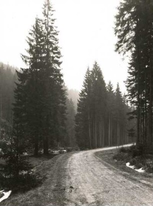 Waldstraße imTal der Schwarzen Pockau oberhalb der Nonnenfelsen zur Zeit der Schneeschmelze