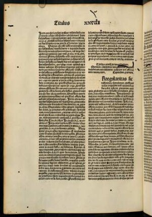 435v-442r, Titulus XXVIII. de irregularitate.
