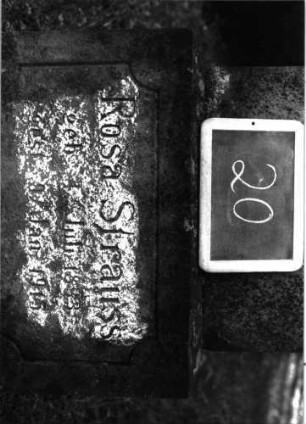 Grabstein 20 (Index: 100100925) Material: Sandstein Zustand: Schrifttafel fehlt, Sockel stark verwittert Maße HxBxT: 171x50x20 cm Beschreibung: Stele, Sockel, Rundbogenabschluß, eingetieftes Schriftfeld rechteckig Symbolik: Voluten- und Palmzweigverzierungen im Rundbogen: Grabstein 20A