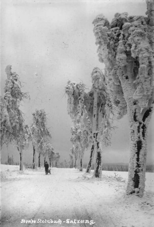 Straße von Satzung nach Steinbach, Nähe Hirtstein im Raufrost