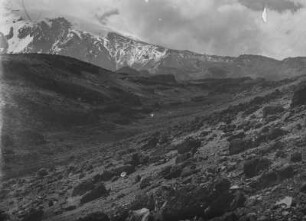 Landschaft mit Kibo : Blick über eine Ebene auf den verschneiten Kibo