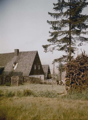 Zinnwald-Georgenfeld. Exulantensiedlung Neugeorgenfeld, Feldseite mit Einfriedung von Süden