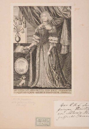 Bildnis von Sophie Katharina (1617-1696), Gräfin von Oldenburg