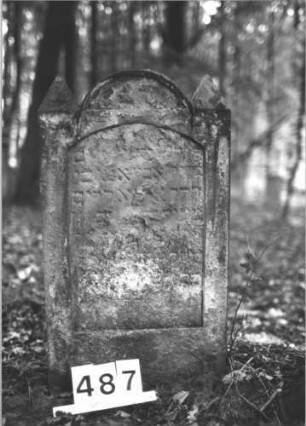 Grabstein 487 (Index: 99900929) Material: Sandstein Zustand: fast völlig verwittert Maße HxBxT: 80x45x11 cm Beschreibung: Stele mit eingezogenem Rundbogenabschluss, pyramidenartige Eckakrotere: Grabstein 487