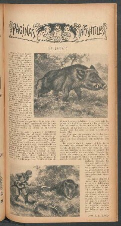 El jabalí : Páginas infantiles