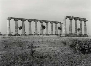 Griechischer Tempel bei Metaponte