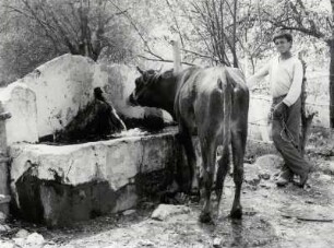 Begegnung am Brunnen, Anatolien