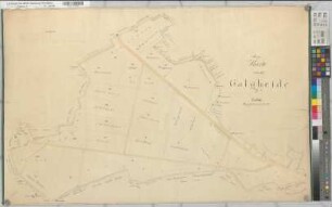 Lamberti (Münster), Teilung der Galgheide, Reinkarte