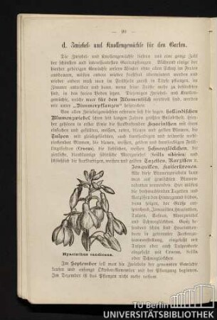 d. Zwiebel- und Knollengewächse für den Garten.