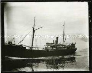 Schiff