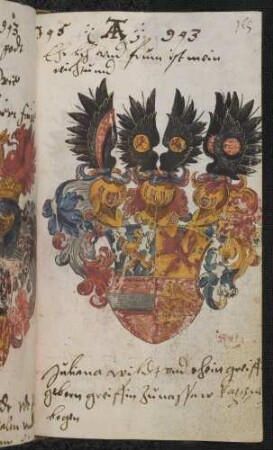 Wappen: Wild- und Rheingräfin Juliana (zu Salm-Dhaun), geb. Gräfin von Nassau-Katzenelnbogen (NassauSiegen) (1565-1630), Eintrag 1593