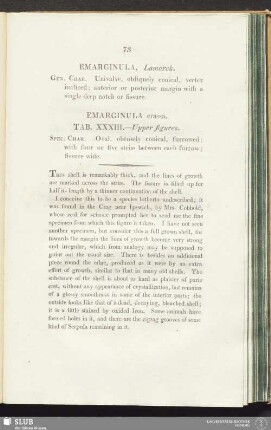 Emarginula, Lamarck