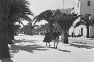 Reisefotos Marokko. Straßenbild mit Palmenallee und Fußgängern (wahrscheinlich in Casablanca)