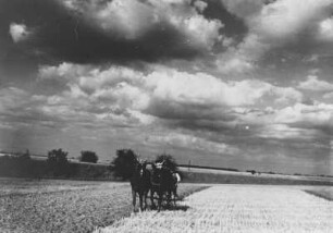 Pferdespann : Stratocumulus Schicht und Haufenwolken in Feldern mit dunklen Schichten