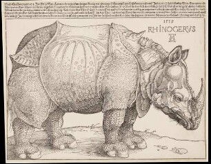 Rhinocerus (Das Rhinozeros) Rhinocerus (Das Rhinozeros)