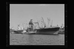 Bertram Rickmers (1979), Frachtschiff, Rickmers-Linie KG, Hamburg, Bau-Nr. 1013