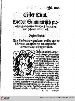 Ander Buch / Erster Titul / Wie der Summarisch Proceß in gütlichen handlungen fürgenommen vnd gehalten werden soll