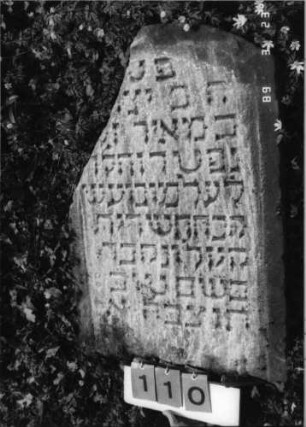 Grabstein 110 (Index: 99792200) Material: Sandstein Zustand: leicht verwittert und beschädigt mit Textverlust, Stele liegent, obere Linke Ecke weggebrochen Maße HxBxT: 81x64x16 cm Beschreibung: Stele, Segmentbogenabschluß, Schriftfeld eingetieft: Grabstein 110