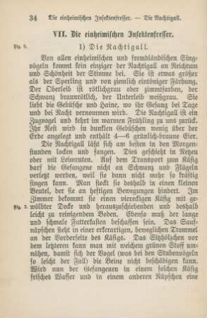 VII. Die einheimischen Insektenfresser