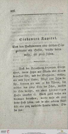 Siebentes Kapitel