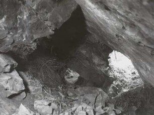 Osterzgebirge, Niederpöbel-Sadisdorf, ausgebeutete Zinnklüfte