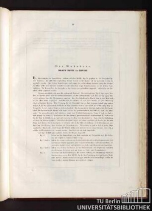 Das Wohnhaus. Blatt XLVII und XLVIII.