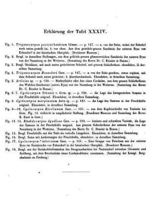 Erklärung der Taf. XXXIV.