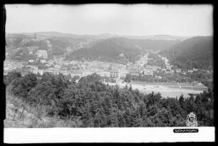 Blick auf Bad Schandau