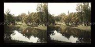 Teich mit Insel im Friedrich-Wilhelms-Garten, Magdeburg