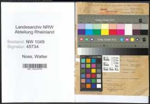 Entnazifizierung Walter Noss , geb. 09.04.1893 (Fabrikant)