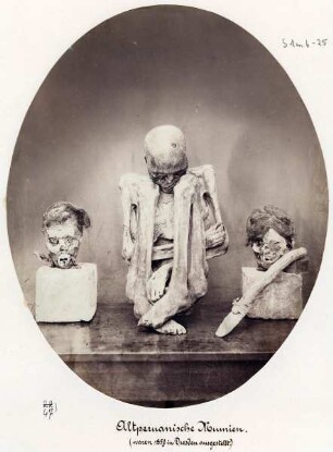 Altperuanische Mumien (waren 1859 in Dresden ausgestellt)