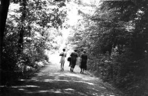 Wilsdruff-Helbigsdorf. Am Dechantsbusch von Steinbach nach Helbigsdorf (Aufnahme Martin Risse)