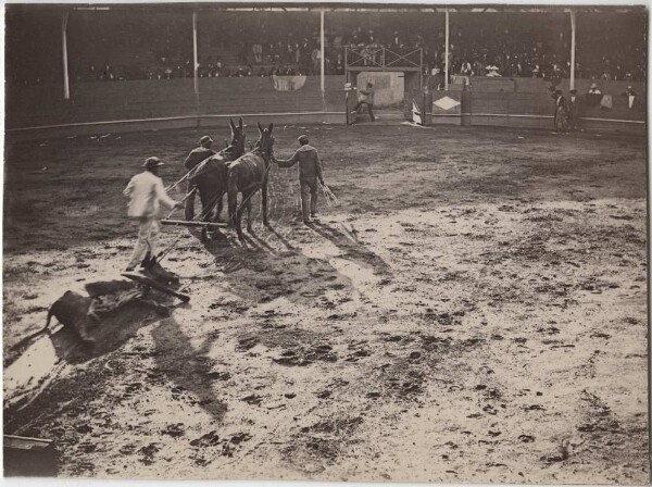 Recording from Caracas (bullfight)