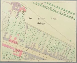 Stadtplan von Dresden im Maßstab 1:840 in 90 Einzelblättern 1862-1872, Blatt 31: das große Ostragehege und die Friedrichstraße