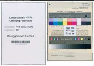 Entnazifizierung Herbert Brueggemeier , geb. 24.05.1898 (Buchhaltungsleiter)