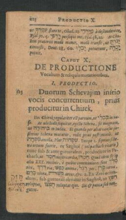 Caput X. De Productione Vocalium & reliquis mutationibus.