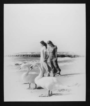 Zwei Schwäne : Zwei Schwäne (Zwei Schwäne und zwei Spaziergängerinnen am Strand). 1976