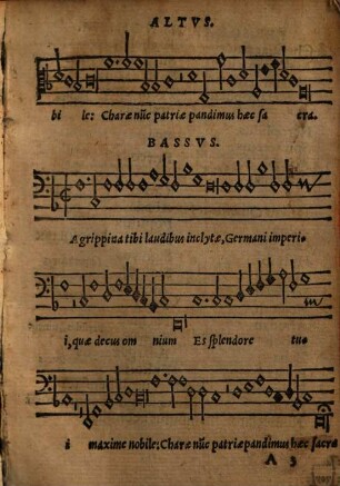 Svsanna : Comoedia Tragica