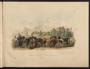 Nro. 48. Im Bivouac am 31. August 1812.