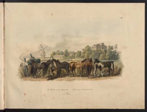 Nro. 48. Im Bivouac am 31. August 1812.